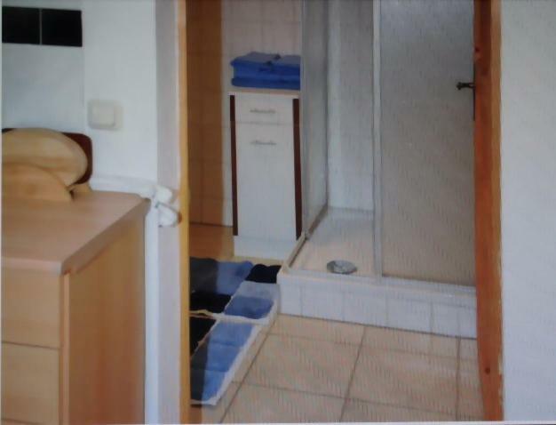 Apartment - Haus Helene 莱比锡 外观 照片